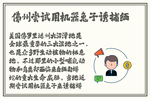 菠萝蜜国际入口1